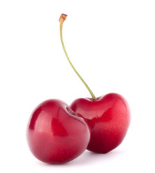 Similar image 2986219