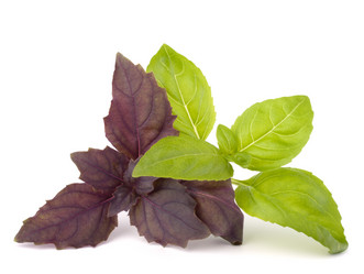 Similar image 2986233