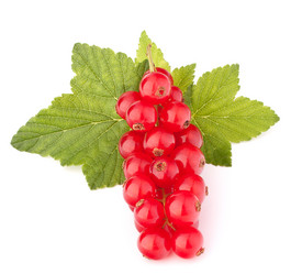 Similar image 2986239