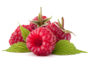 Similar image 2986240