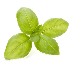 Similar image 2986255