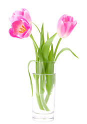 Similar image 2986312