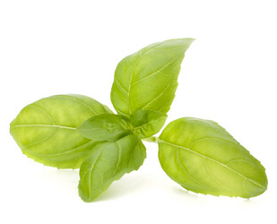 Similar image 2986320