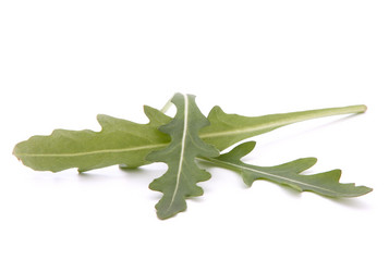 Similar image 2986322