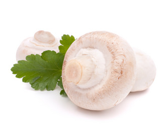 Similar image 2986332