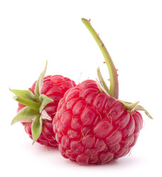 Similar image 2986340