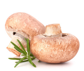 Similar image 2986355