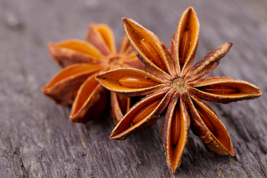 Similar image 2986378