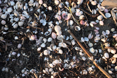 Similar image 2986393