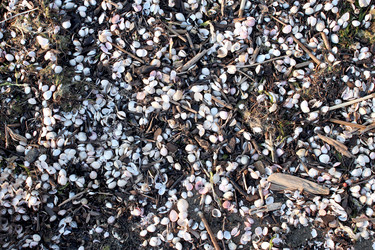 Similar image 2986395