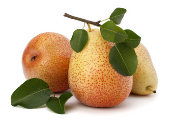 Similar image 2986415