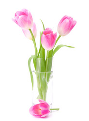 Similar image 2986439