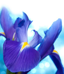 Similar image 2986445