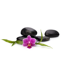 Similar image 2986460