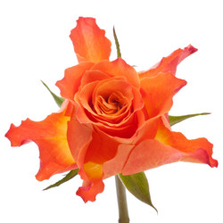 Similar image 2986461