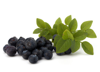 Similar image 2986474