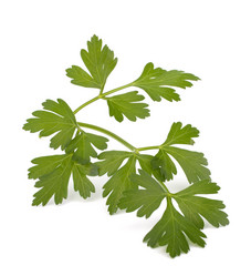 Similar image 2986503