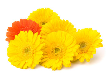 Similar image 2986526