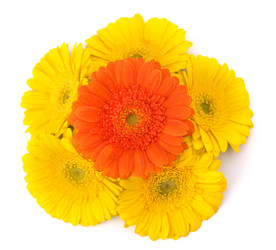 Similar image 2986529