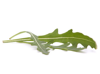 Similar image 2986562