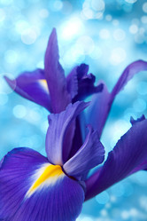 Similar image 2986569