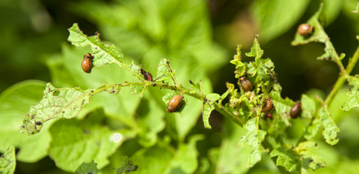 Similar image 2986586