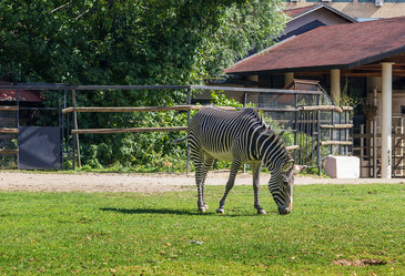 Similar image 2986679