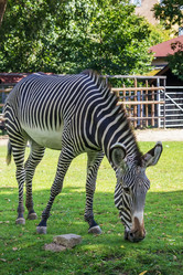 Similar image 2986680