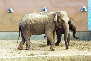 Similar image 2986681