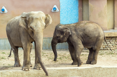 Similar image 2986683