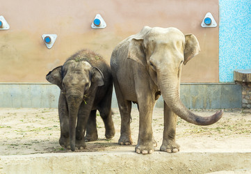 Similar image 2986684