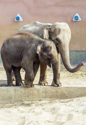 Similar image 2986686