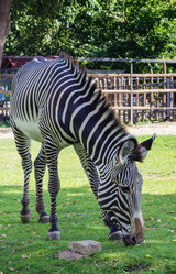 Similar image 2986687