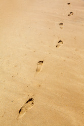 Similar image 2986724