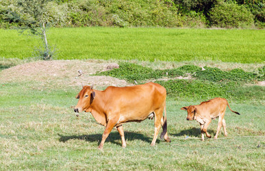 Similar image 2986725