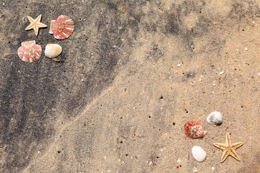 Similar image 2986726