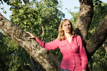 Similar image 2986735