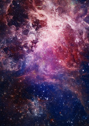 Similar image 2986741