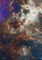 Similar image 2986756