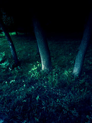 Similar image 2986808