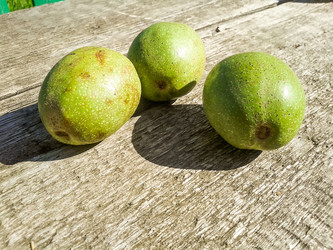 Similar image 2986844