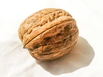 Similar image 2986861