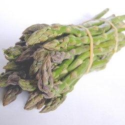 Similar image 2986894