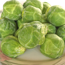 Similar image 2986920