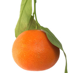 Similar image 2986949