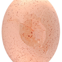 Similar image 2987003