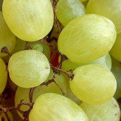 Similar image 2987005