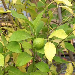 Similar image 2987006