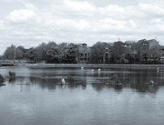 Similar image 2987055