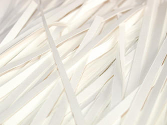 Similar image 2987073